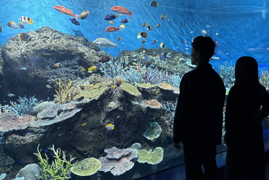アクアワールド茨城県大洗水族館の風景
